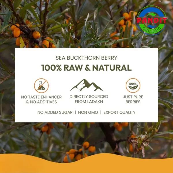 Pandit_Organics_Himalayan_Sea_Buckthorn_Pulp_Concentrate_500ml_Pack_of_2_|_Cold-Pressed_|_Makes_100_Glasses_|_Natural_Vitamin_C,_Omega_3_6_7_9,_Antioxidants_|_Immunity,_Skin_Glow_&_Gut_Health_Support_|_Juice_Seabuckthorn_|_500ml|_Pack_of_2_