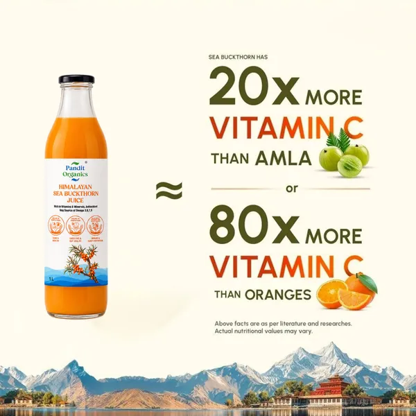 Buy_1_Get_1_Pandit_Organics_Himalayan_Sea_Buckthorn_Pulp_Concentrate_Juice__1_L_+_1_L_|_Cold-Pressed_|_Makes_300_Glasses_|_Natural_Vitamin_C,_Omega_3_6_7_9,_Antioxidants_|_Immunity,_Skin_Glow_&_Gut_Health_Support_|_1_L_+_1_L