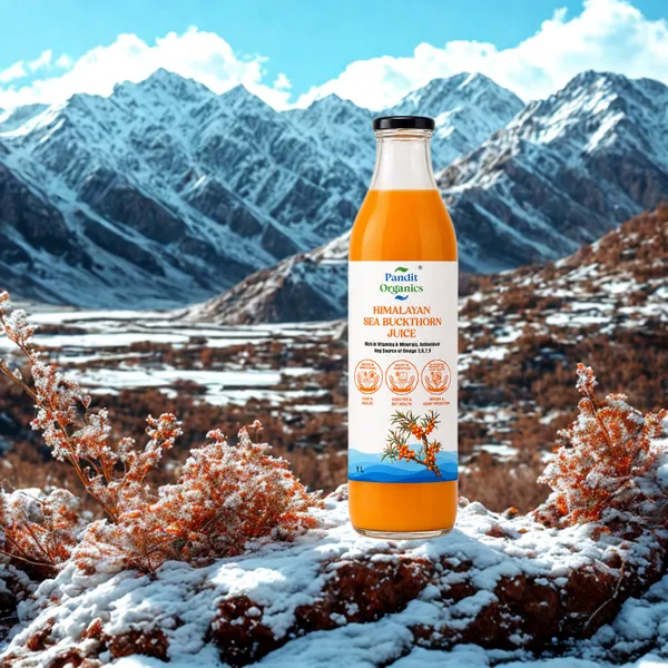Buy_1_Get_1_Pandit_Organics_Himalayan_Sea_Buckthorn_Pulp_Concentrate_Juice__1_L_+_1_L_|_Cold-Pressed_|_Makes_300_Glasses_|_Natural_Vitamin_C,_Omega_3_6_7_9,_Antioxidants_|_Immunity,_Skin_Glow_&_Gut_Health_Support_|_1_L_+_1_L