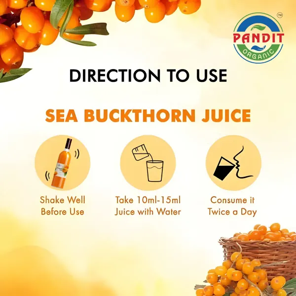 Pandit_Organics_Himalayan_Sea_Buckthorn_Pulp_Concentrate_1_L_Pack_of_2_|_Cold-Pressed_|_Makes_300_Glasses_|_Natural_Vitamin_C,_Omega_3_6_7_9,_Antioxidants_|_Immunity,_Skin_Glow_&_Gut_Health_Support_|_Juice_Seabuckthorn_|_1_L_|_Pack_of_2_
