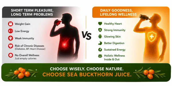 Pandit_Organics_Himalayan_Sea_Buckthorn_Pulp_Concentrate_1_L_Pack_of_2_|_Cold-Pressed_|_Makes_300_Glasses_|_Natural_Vitamin_C,_Omega_3_6_7_9,_Antioxidants_|_Immunity,_Skin_Glow_&_Gut_Health_Support_|_Juice_Seabuckthorn_|_1_L_|_Pack_of_2_