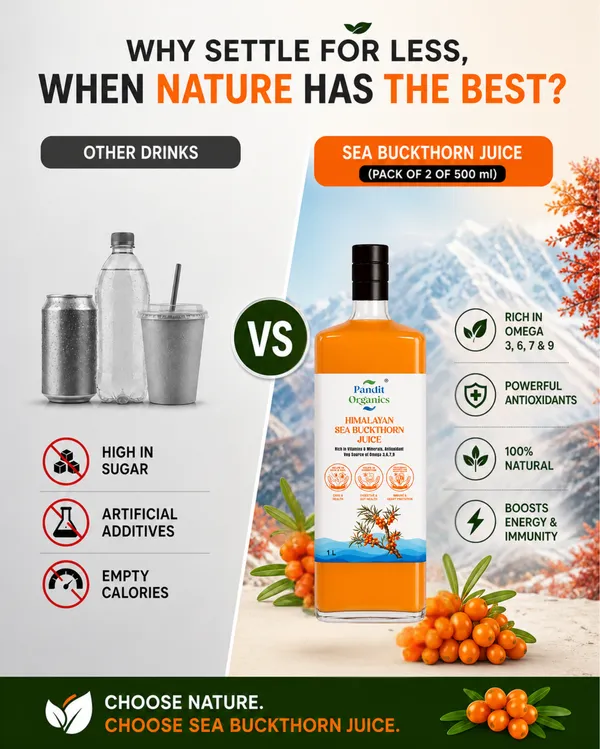 Pandit_Organics_Himalayan_Sea_Buckthorn_Pulp_Concentrate_1_L_Pack_of_2_|_Cold-Pressed_|_Makes_300_Glasses_|_Natural_Vitamin_C,_Omega_3_6_7_9,_Antioxidants_|_Immunity,_Skin_Glow_&_Gut_Health_Support_|_Juice_Seabuckthorn_|_1_L_|_Pack_of_2_