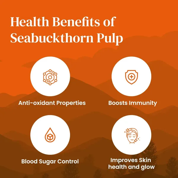 Pandit_Organics_Himalayan_Sea_Buckthorn_Pulp_Concentrate_1_L_Pack_of_2_|_Cold-Pressed_|_Makes_300_Glasses_|_Natural_Vitamin_C,_Omega_3_6_7_9,_Antioxidants_|_Immunity,_Skin_Glow_&_Gut_Health_Support_|_Juice_Seabuckthorn_|_1_L_|_Pack_of_2_