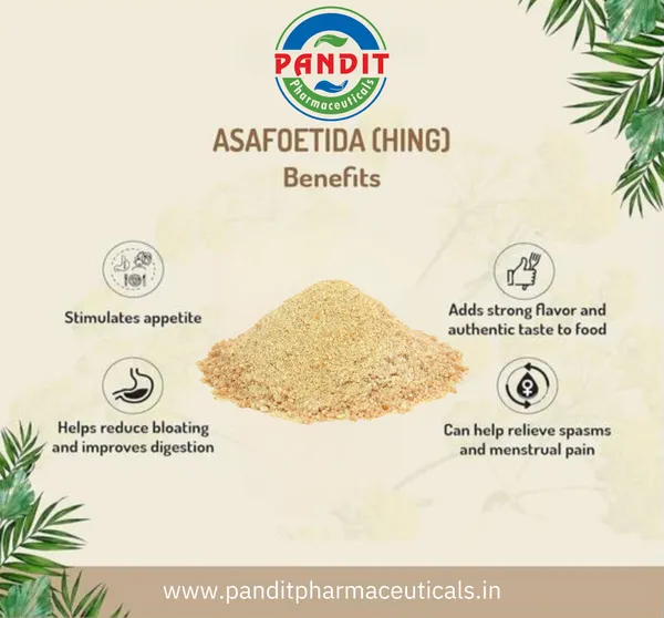 200_Gram_Majedar_Green_Brand_Strong_White_Hing_Powder_In_200gm_Lunchbox_Compounded_Bandhani_Asafoetida_Rich_Flavor_And_Aroma_For_Authentic_Indian_Cooking