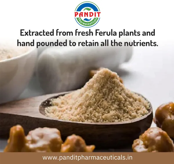 200_Gram_Majedar_Green_Brand_Strong_White_Hing_Powder_In_200gm_Lunchbox_Compounded_Bandhani_Asafoetida_Rich_Flavor_And_Aroma_For_Authentic_Indian_Cooking
