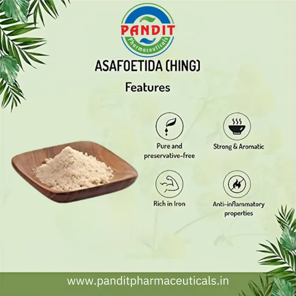 200_Gram_Majedar_Green_Brand_Strong_White_Hing_Powder_In_200gm_Lunchbox_Compounded_Bandhani_Asafoetida_Rich_Flavor_And_Aroma_For_Authentic_Indian_Cooking