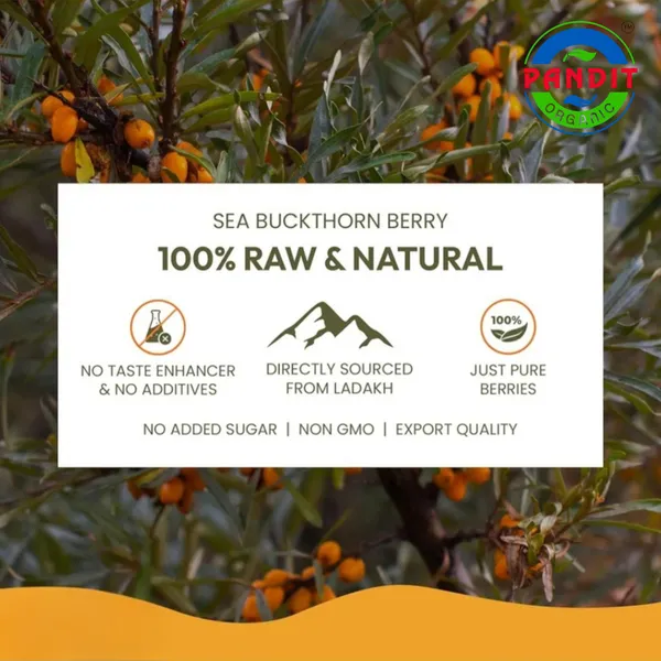 Pandit_Organics_Himalayan_Sea_Buckthorn_Pulp_Concentrate_1_L_|_Cold-Pressed_|_Makes_200_Glasses_|_Natural_Vitamin_C,_Omega_3_6_7_9,_Antioxidants_|_Immunity,_Skin_Glow_&_Gut_Health_Support_|_Juice_Seabuckthorn_|_1_L