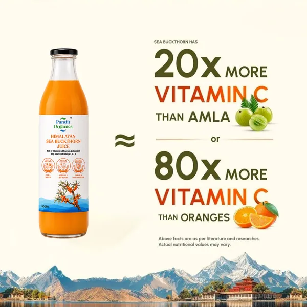 Buy_1_Get_1_Pandit_Organics_Himalayan_Sea_Buckthorn_Pulp_Concentrate_Juice_500_ML_+_500_ML_|_Cold-Pressed_|_Makes_200_Glasses_|_Natural_Vitamin_C,_Omega_3_6_7_9,_Antioxidants_|_Immunity,_Skin_Glow_&_Gut_Health_Support_|_500_ML_+_500_ML