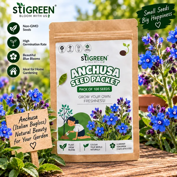 Anchusa_Flower_Seeds