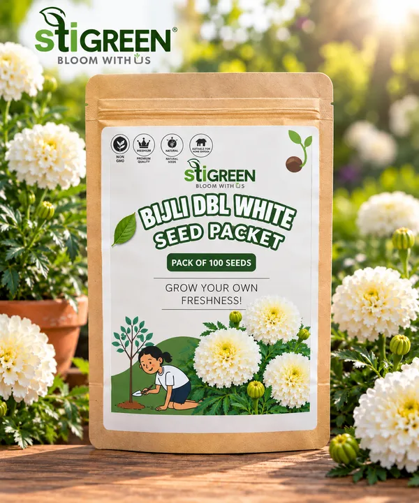 Bijli_Double_White_Marigold_Flower_Seeds