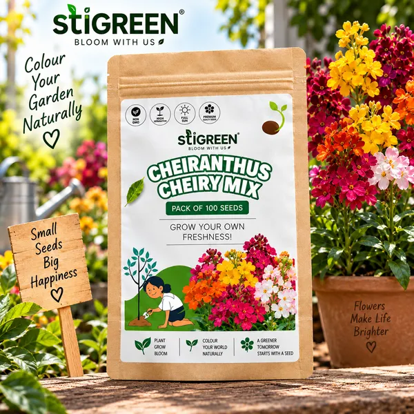 Cheiranthus_Cheiry_Mix_Flower_Seeds
