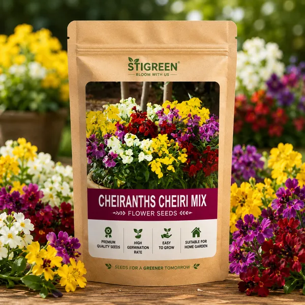 Cheiranthus_Cheiry_Mix_Flower_Seeds