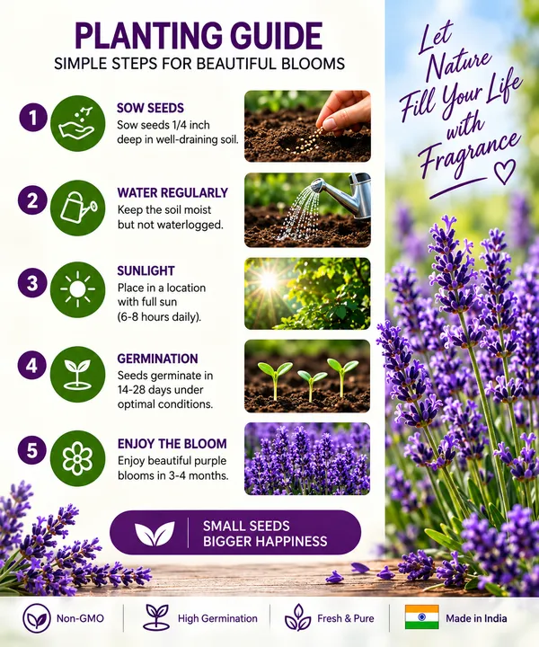 Lavender_Flower_Seeds