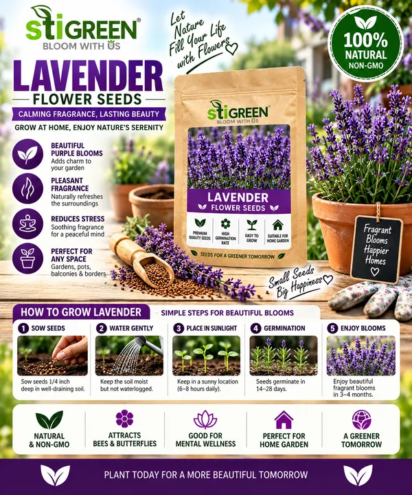Lavender_Flower_Seeds