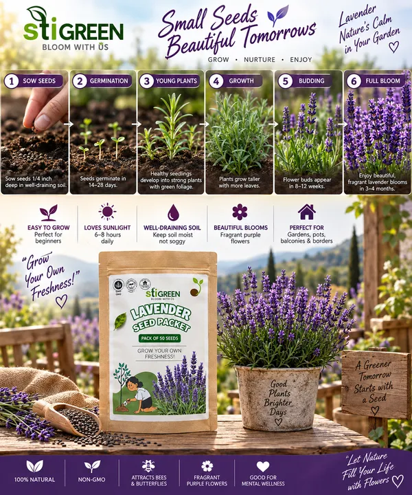 Lavender_Flower_Seeds