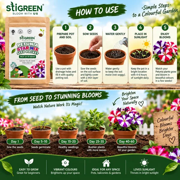 Petunia_Star_Mix_Seed