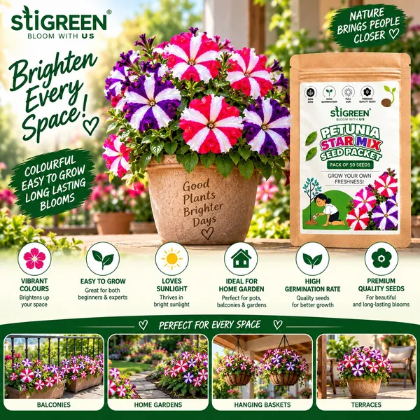 Petunia_Star_Mix_Seed