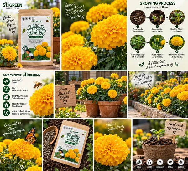 Yellow_Marigold_Flower_Seeds