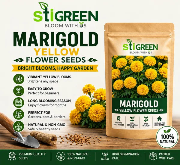 Yellow_Marigold_Flower_Seeds