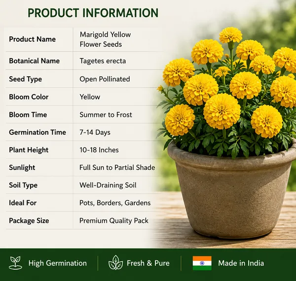 Yellow_Marigold_Flower_Seeds
