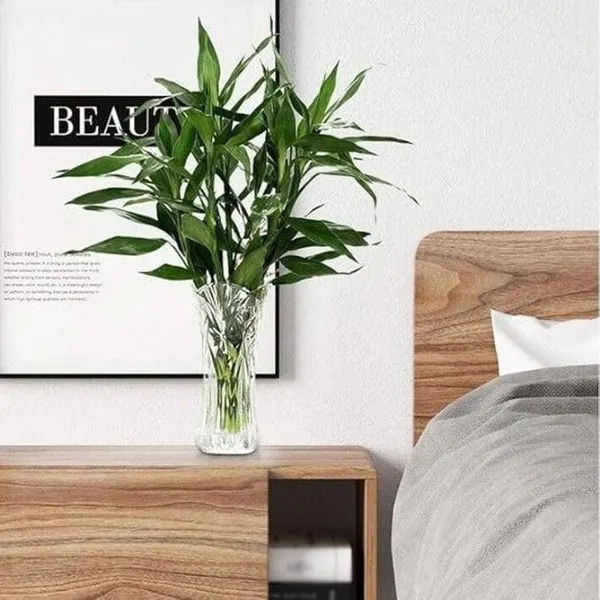 Pack_Of_1_Premium_Decorative_Glass_Vase_With_Curved_Design_For_Flower_Plants_Home_Decor_Office_Living_Room_Bed_Table_Top_Decoration