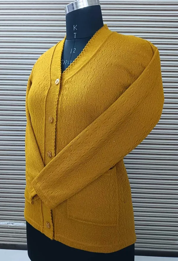 Orange_Acrylic_Blend_Regular_Casual_Sweater_For_Women