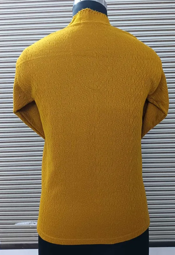 Orange_Acrylic_Blend_Regular_Casual_Sweater_For_Women