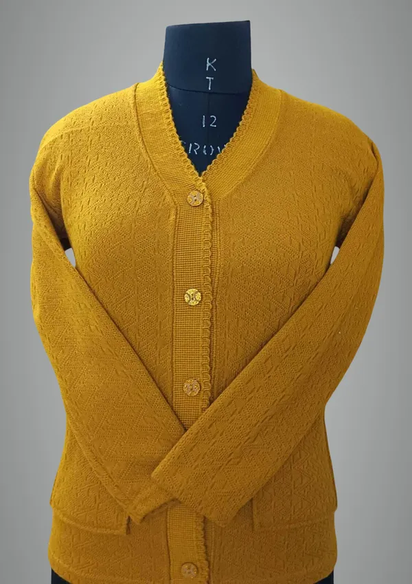 Orange_Acrylic_Blend_Regular_Casual_Sweater_For_Women