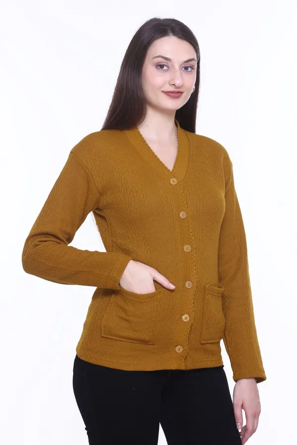 Brown_Cotton_Blend_Regular_Casual_Sweater_For_Women