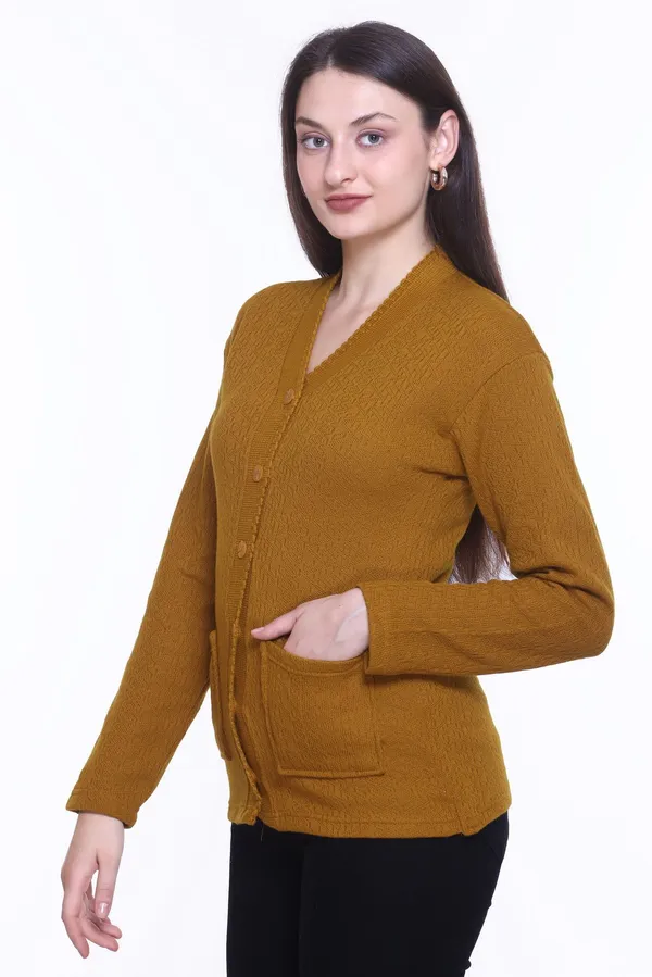 Brown_Cotton_Blend_Regular_Casual_Sweater_For_Women