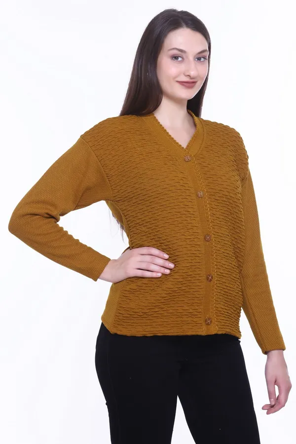 Brown_Cotton_Blend_Regular_Casual_Sweater_For_Women