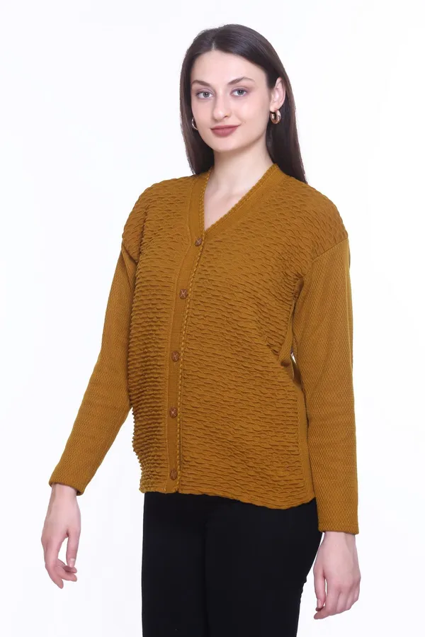 Brown_Cotton_Blend_Regular_Casual_Sweater_For_Women