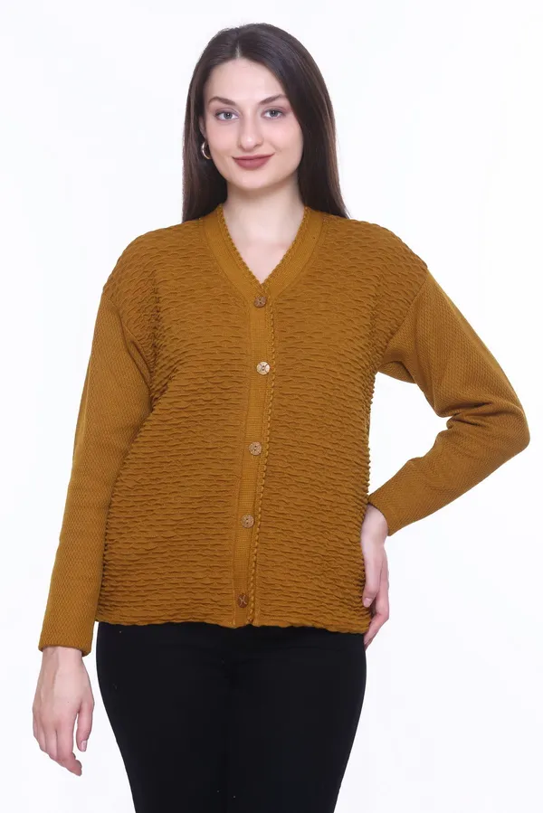 Brown_Cotton_Blend_Regular_Casual_Sweater_For_Women
