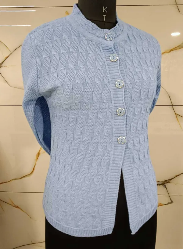 Light_Blue_Cotton_Blend_Regular_Casual_Sweater_For_Women