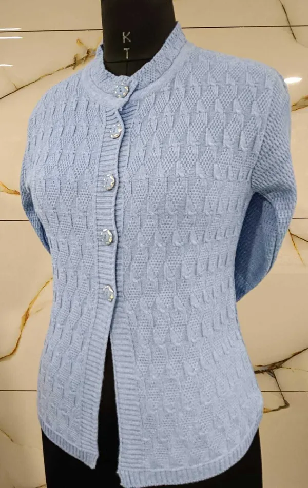 Light_Blue_Cotton_Blend_Regular_Casual_Sweater_For_Women