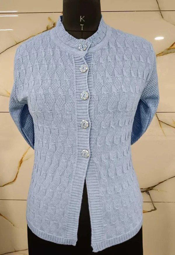 Light_Blue_Cotton_Blend_Regular_Casual_Sweater_For_Women