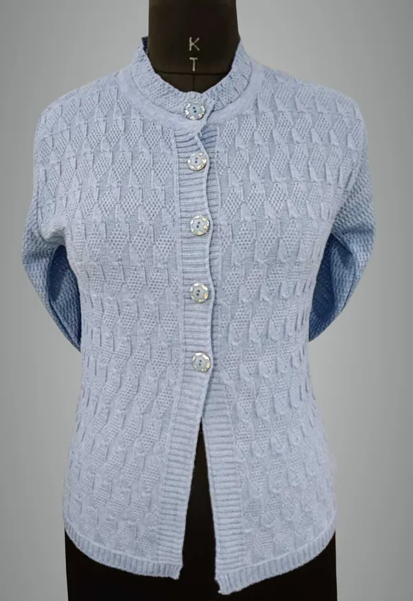Light_Blue_Cotton_Blend_Regular_Casual_Sweater_For_Women