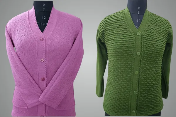 Multicolor_Cotton_Blend_Regular_Casual_Sweater_For_Women