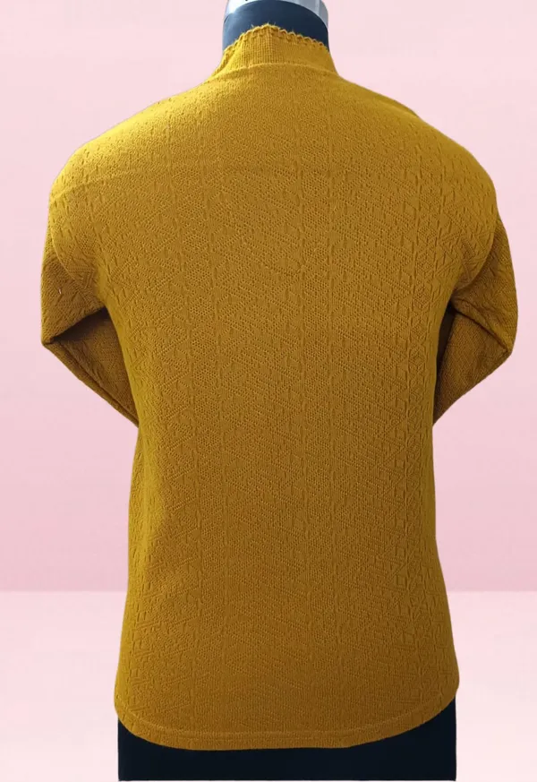 Multicolor_Cotton_Blend_Regular_Casual_Sweater_For_Women