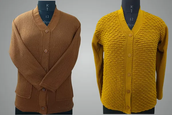 Multicolor_Cotton_Blend_Regular_Casual_Sweater_For_Women