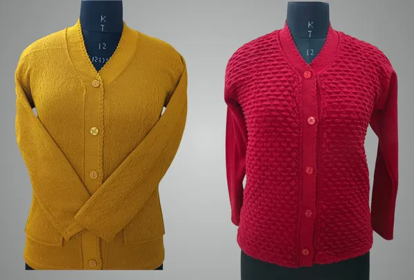 Multicolor_Cotton_Blend_Regular_Casual_Sweater_For_Women
