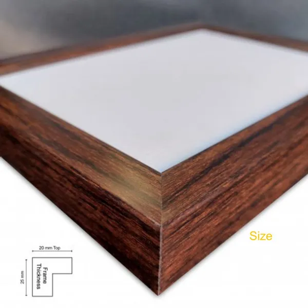 Brown_-_Death_Photo_Frame
