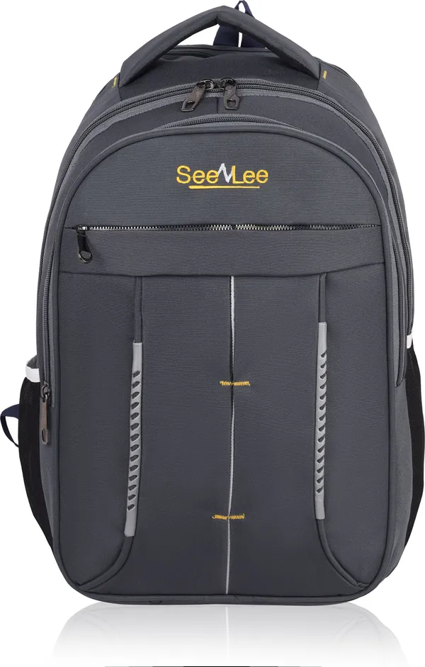 Grey_Premium_Pu_&_Polyester_Backpack_For_Men_&_Women