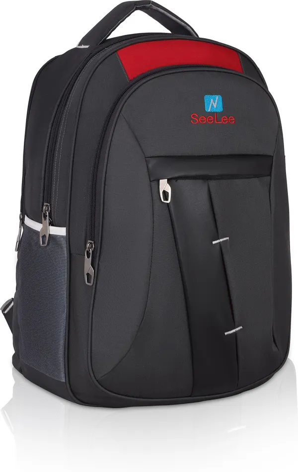 Grey_Premium_Polyester_,_Nylon_&_Pu_Backpack_For_Men