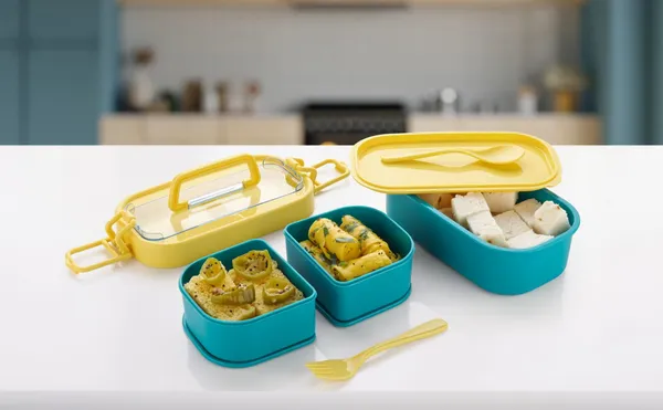 Pack_of_1_-_Multicolor_Virgin_Pp_Material__Double_Décor_Lunchbox