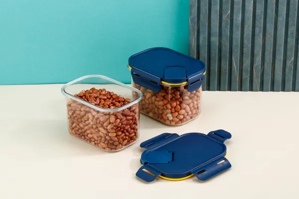 Pack_Of_2_-_Multicolor_Virgin_Pet_Material__Zento__Container_-_800Ml