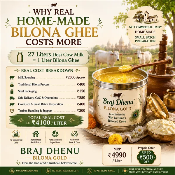 Braj_Dhenu_Bilona_Gold