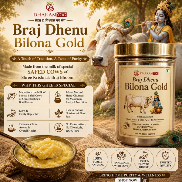 Braj_Dhenu_Bilona_Gold
