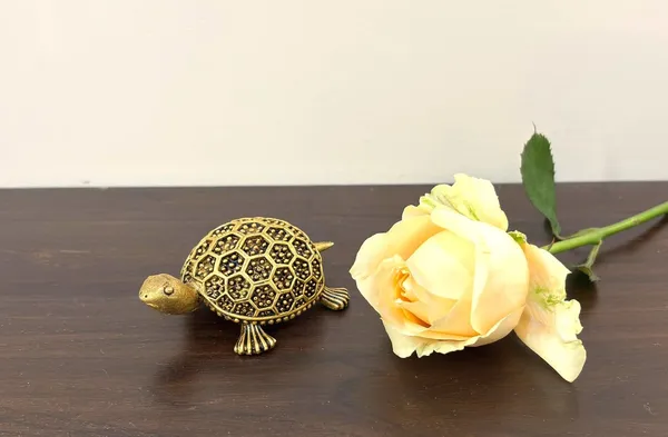 Rahadecor_Small_Vastu_Tortoise_Idol_for_Home_Office_Career_Growth_&_Wealth_-_8cm_(3.1in)_L