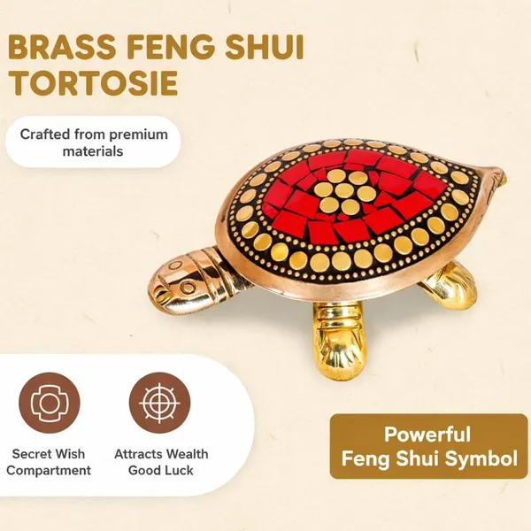 BRASS-TORTOISE-RGB
